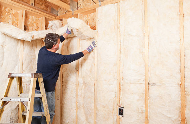 Best Attic Insulation Installation in Bonny Doon, CA